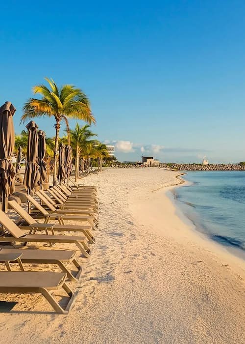 sargazo-en-playa-hotel-sls-cancun